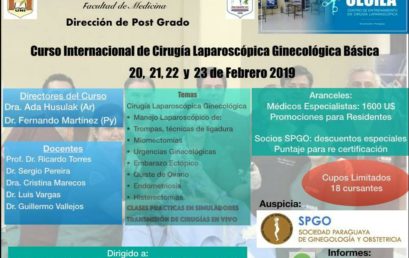 Curso Internacional de Cirugía Laparoscópica Ginecológica Básica