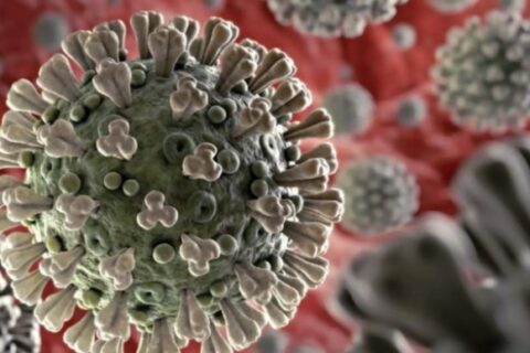 Coronavirus