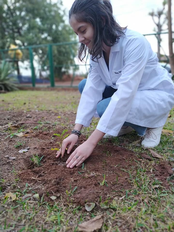 «Medicina verde: planta un árbol»