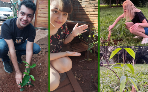 Estudiantes del Primer Curso Cultivando los Árboles en el Marco del Proyecto Medicina Verde